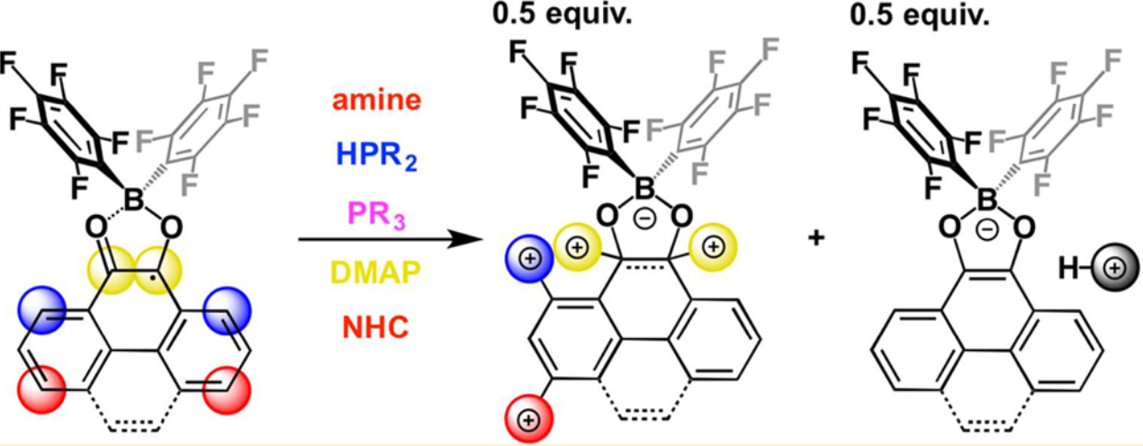 Phenanthrenedione- and pyrenedione-derived borocyclic 
											radicals react with amines, phosphines, DMAP and NHC and gives various adducts.